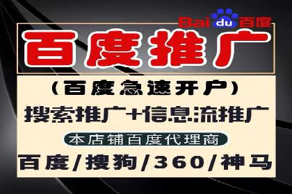 百度推广成功案例：助力企业拓展海外市场
